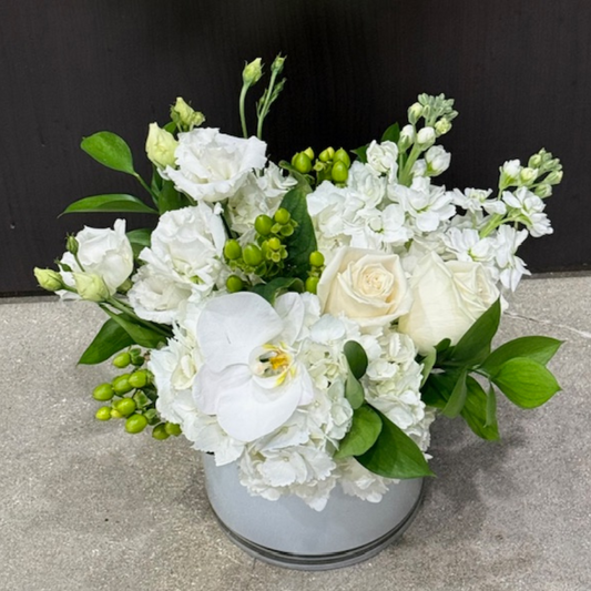 Pure Whites