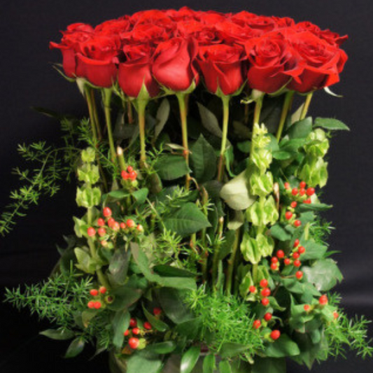 Red Rose Hedge