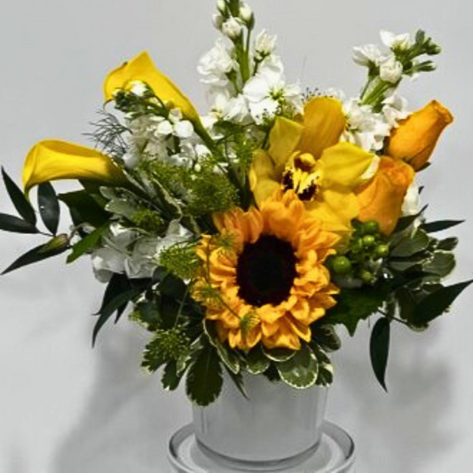 Sunny Disposition