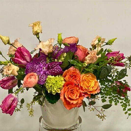 Spring Vanda Collection