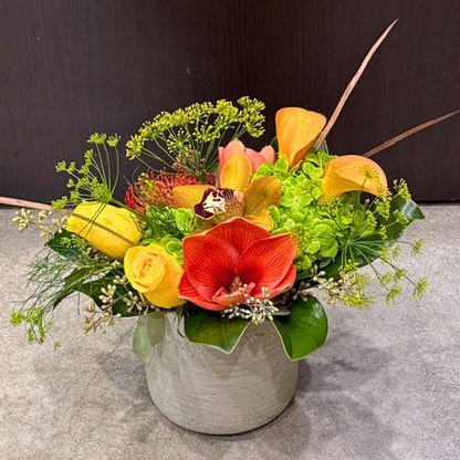 Brilliant Amaryllis –  Grace Lakes Florist Inc., Naples FL
