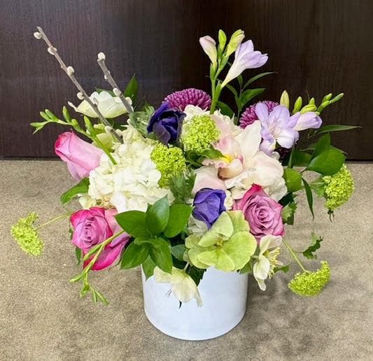 A Breath of Spring Air