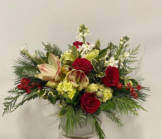 Christmas Amaryllis Design