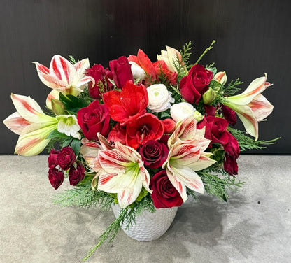 Candy Cane Supreme –  Grace Lakes Florist Inc., Naples FL