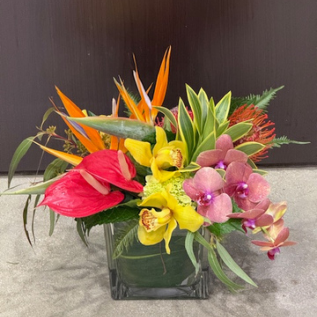 Designer's Choice Tropicals