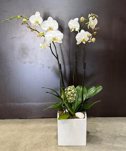 Double the Love Easter –  Grace Lakes Florist Inc., Naples FL