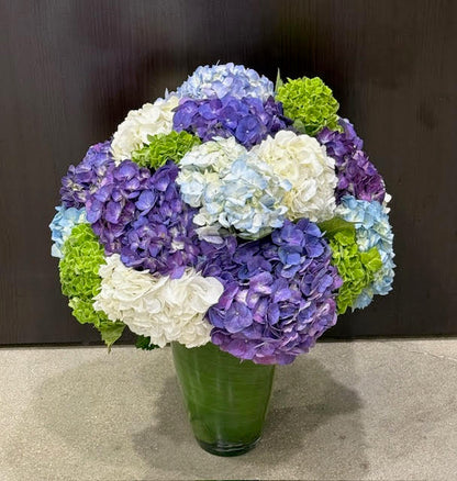 Hydrangea Lovers –  Grace Lakes Florist Inc., Naples FL