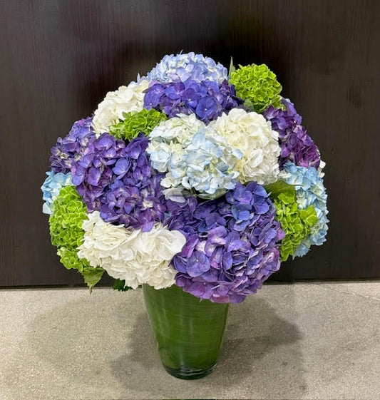 Hydrangea Lovers