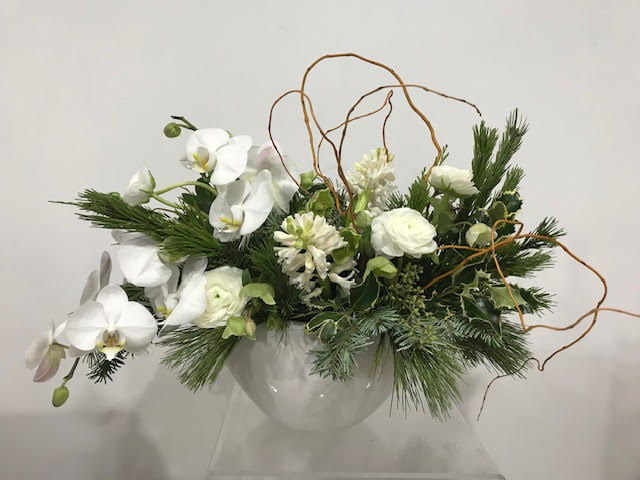 Holiday Orchid Celebration