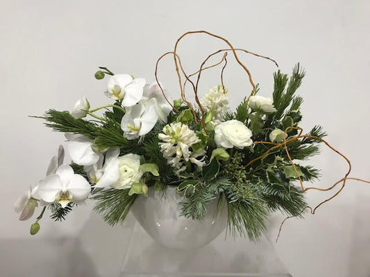 Holiday Orchid Celebration