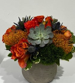 Pincushion and Succulent Surprise –  Grace Lakes Florist Inc., Naples FL