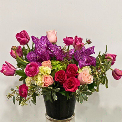 Raspberry Sorbet –  Grace Lakes Florist Inc., Naples FL